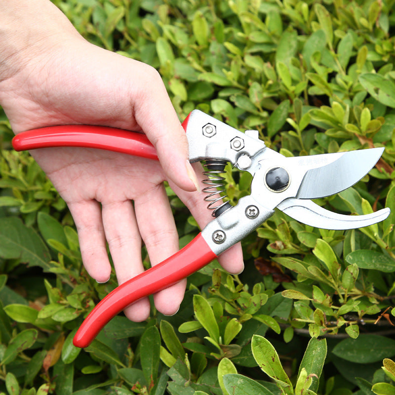 V8 Gardening Scissors